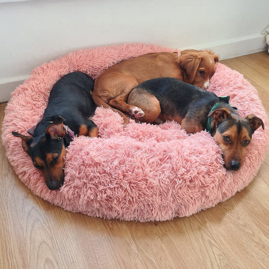 Comfy Calming Dog Cat Bed